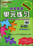 Lesson-by-Lesson Practice Primary 3