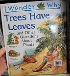 Trees Have Leares :$b and Other Questions About Plants