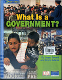 what is a Goverment?