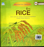 Rice = ข้าว