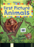 First Picture  Animals